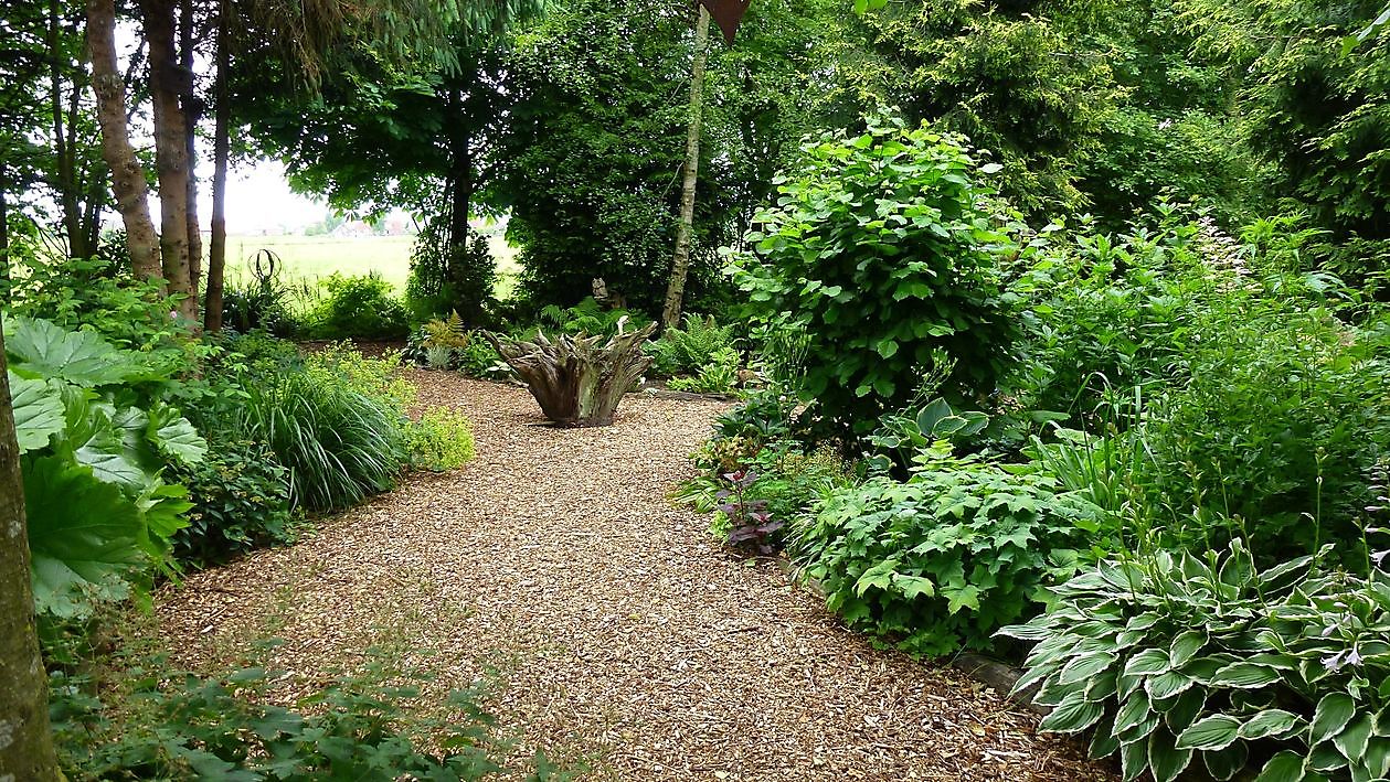 Spetzer Tuun - Het Tuinpad Op / In Nachbars Garten