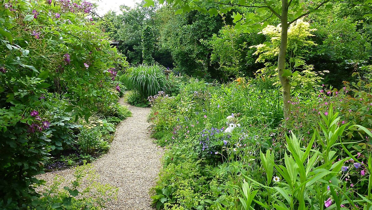 Spetzer Tuun - Het Tuinpad Op / In Nachbars Garten