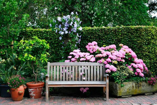 Diddens - Het Tuinpad Op / In Nachbars Garten