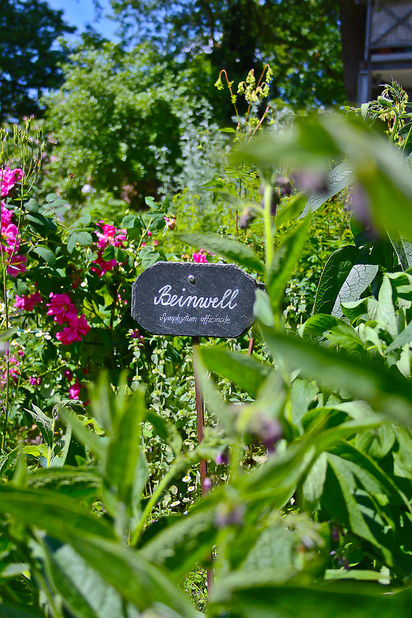 Kögel-Willms-Heilpflanzengarten - Het Tuinpad Op / In Nachbars Garten