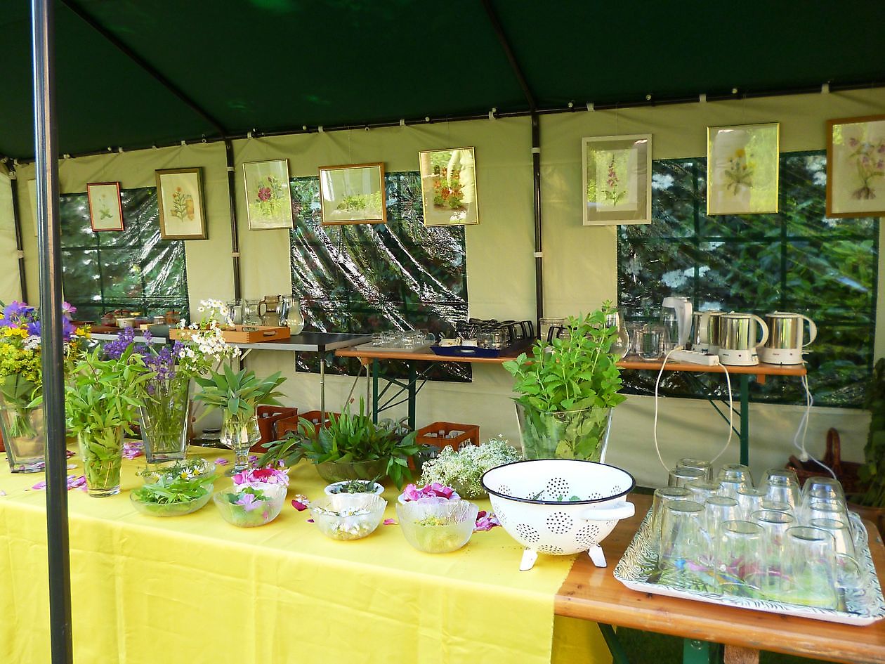 Kögel-Willms-Heilpflanzengarten - Het Tuinpad Op / In Nachbars Garten