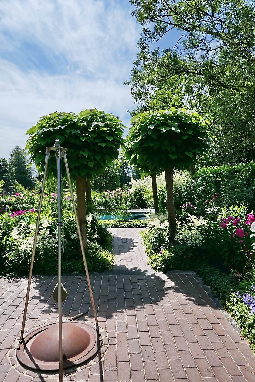 Wassergarten - Het Tuinpad Op / In Nachbars Garten