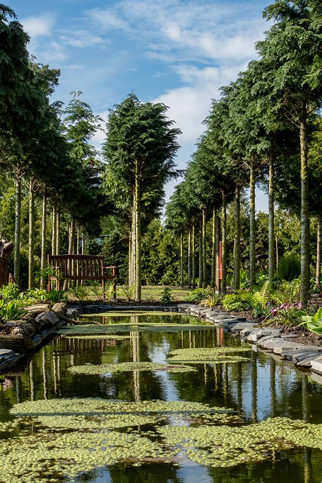 Agnes & Ludwig Schade - Het Tuinpad Op / In Nachbars Garten