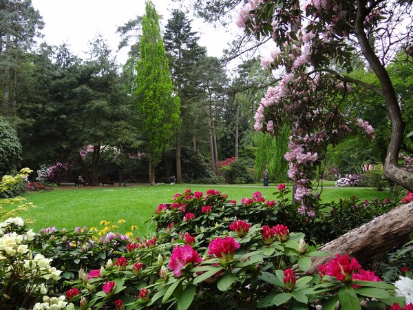 Farbenrausch im Blütenmeer -  Hobbie Rhododendronpark - Het Tuinpad Op / In Nachbars Garten