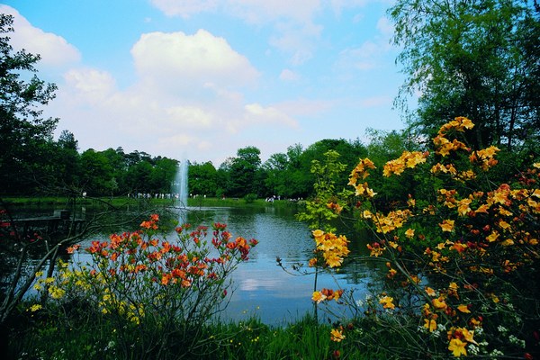 Farbenrausch im Blütenmeer -  Hobbie Rhododendronpark - Het Tuinpad Op / In Nachbars Garten