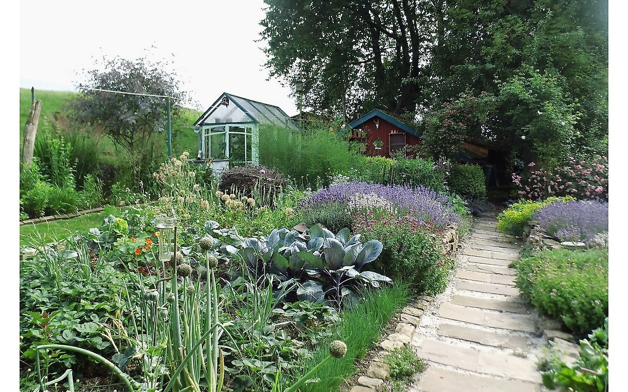 Blütenreich am Deich - Het Tuinpad Op / In Nachbars Garten