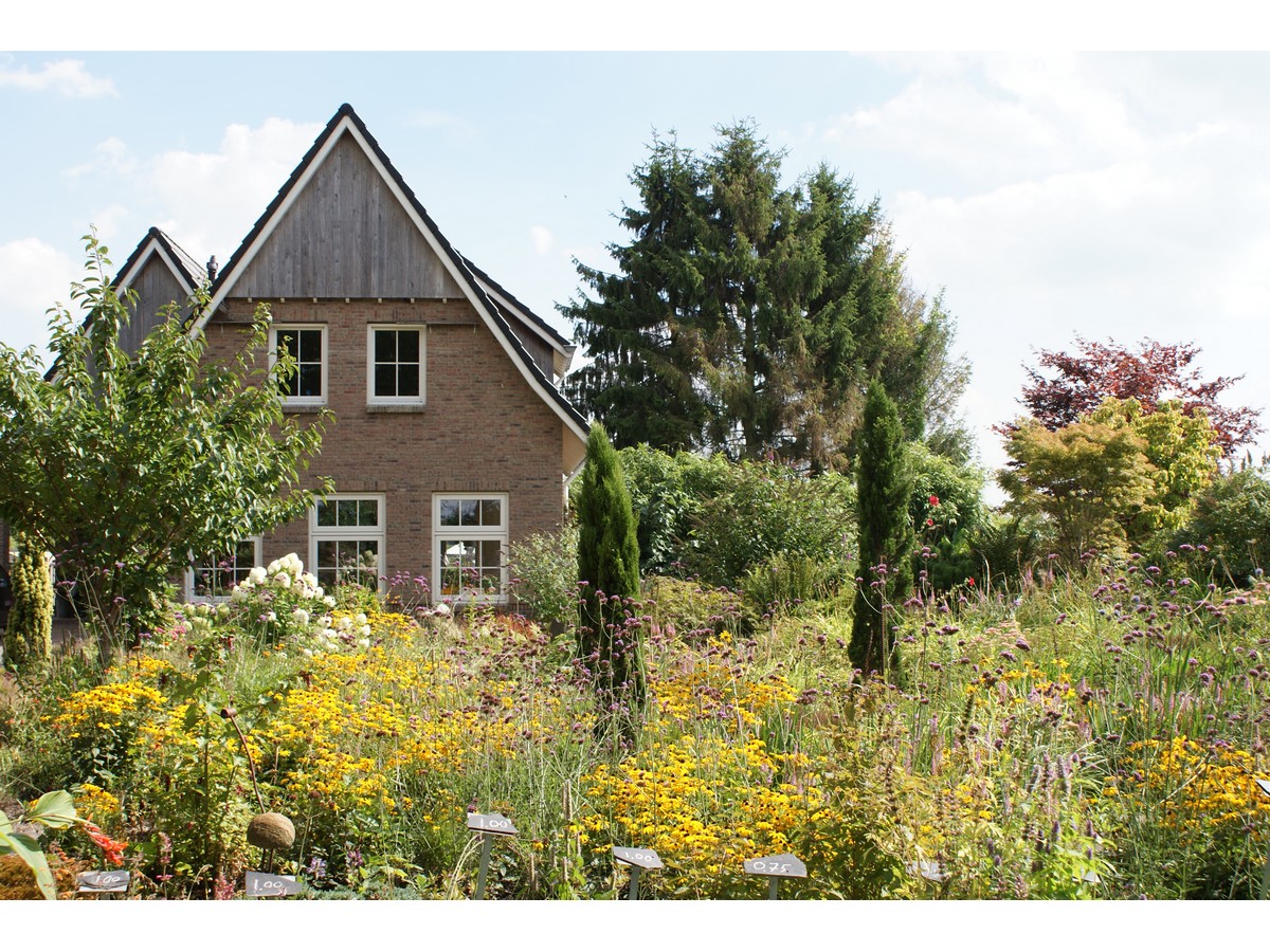 Het Amsterdamscheveld - Het Tuinpad Op / In Nachbars Garten