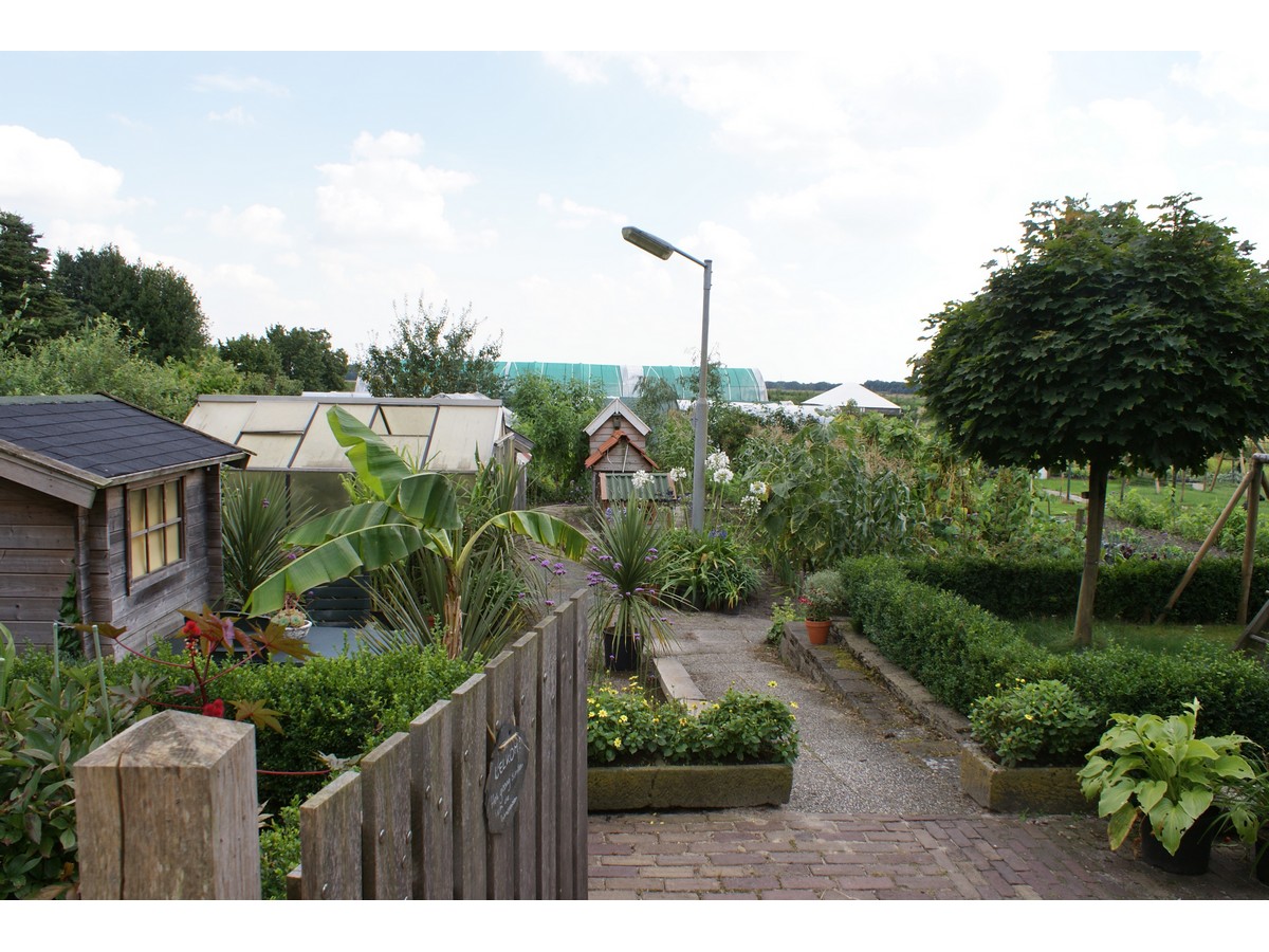 Het Amsterdamscheveld - Het Tuinpad Op / In Nachbars Garten