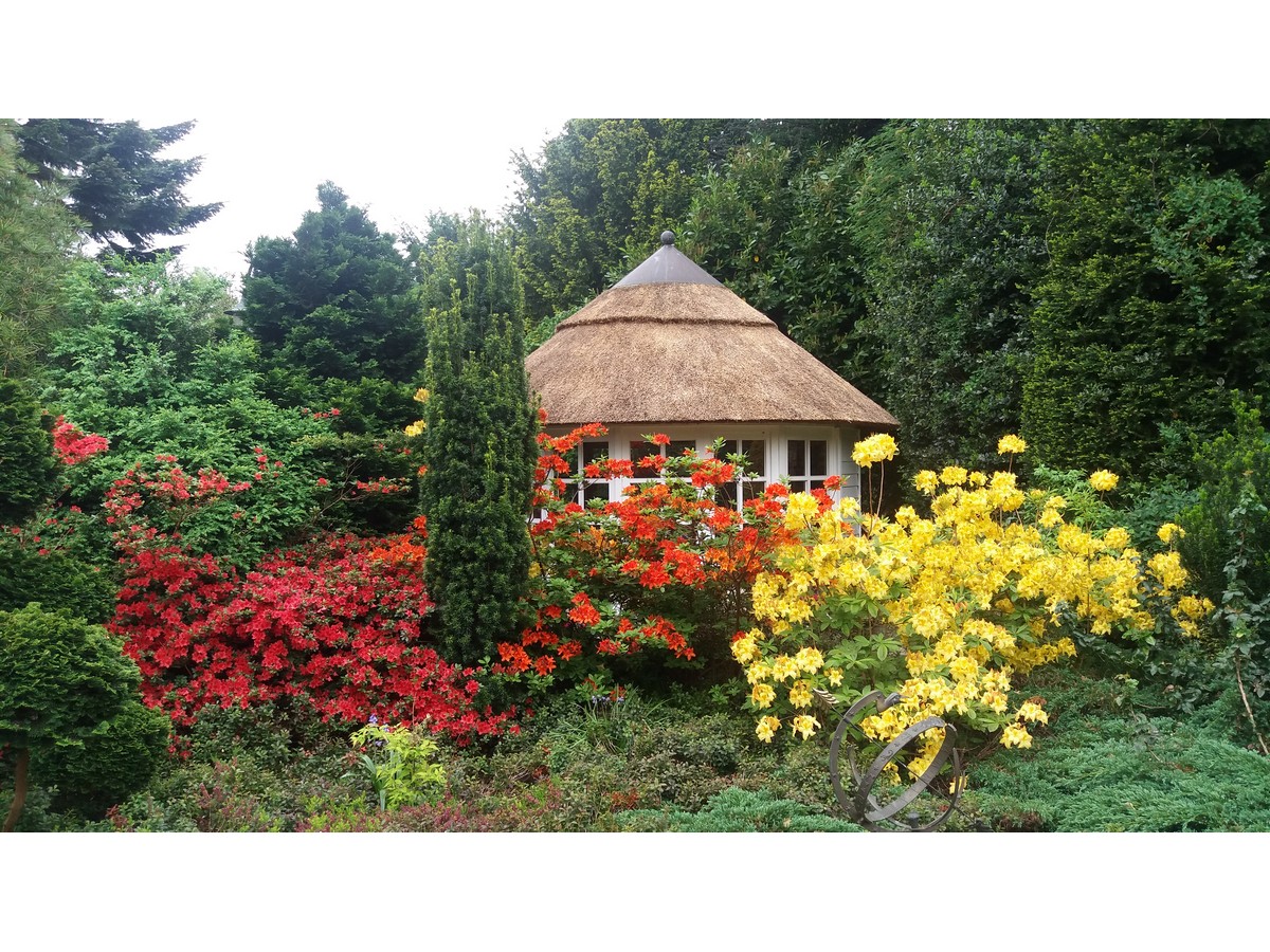 De Hoftuin - Het Tuinpad Op / In Nachbars Garten