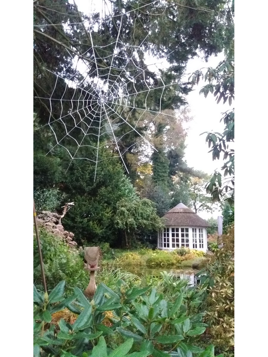 De Hoftuin - Het Tuinpad Op / In Nachbars Garten