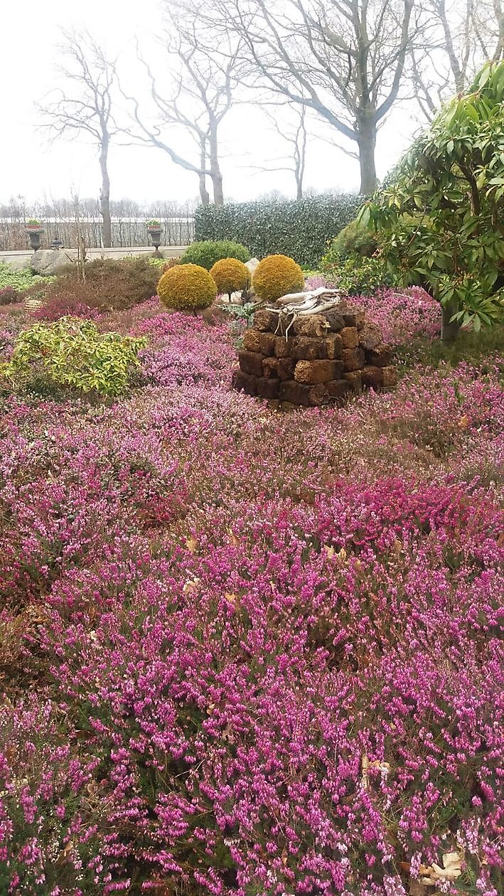 De Hoftuin - Het Tuinpad Op / In Nachbars Garten