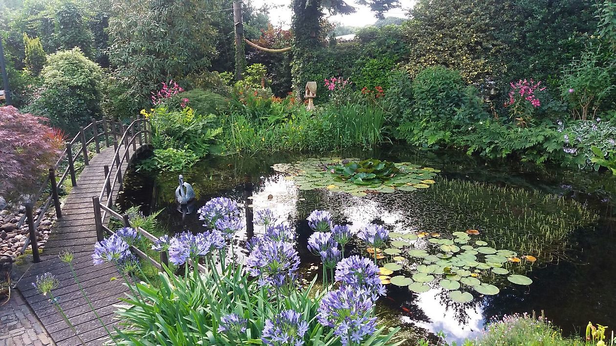 De Hoftuin - Het Tuinpad Op / In Nachbars Garten