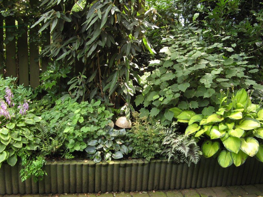 Jetske’s Tuin - Het Tuinpad Op / In Nachbars Garten