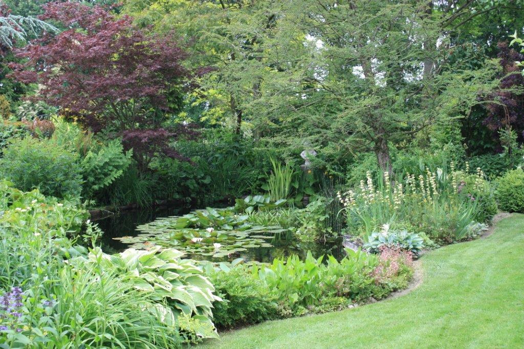 Jetske’s Tuin - Het Tuinpad Op / In Nachbars Garten