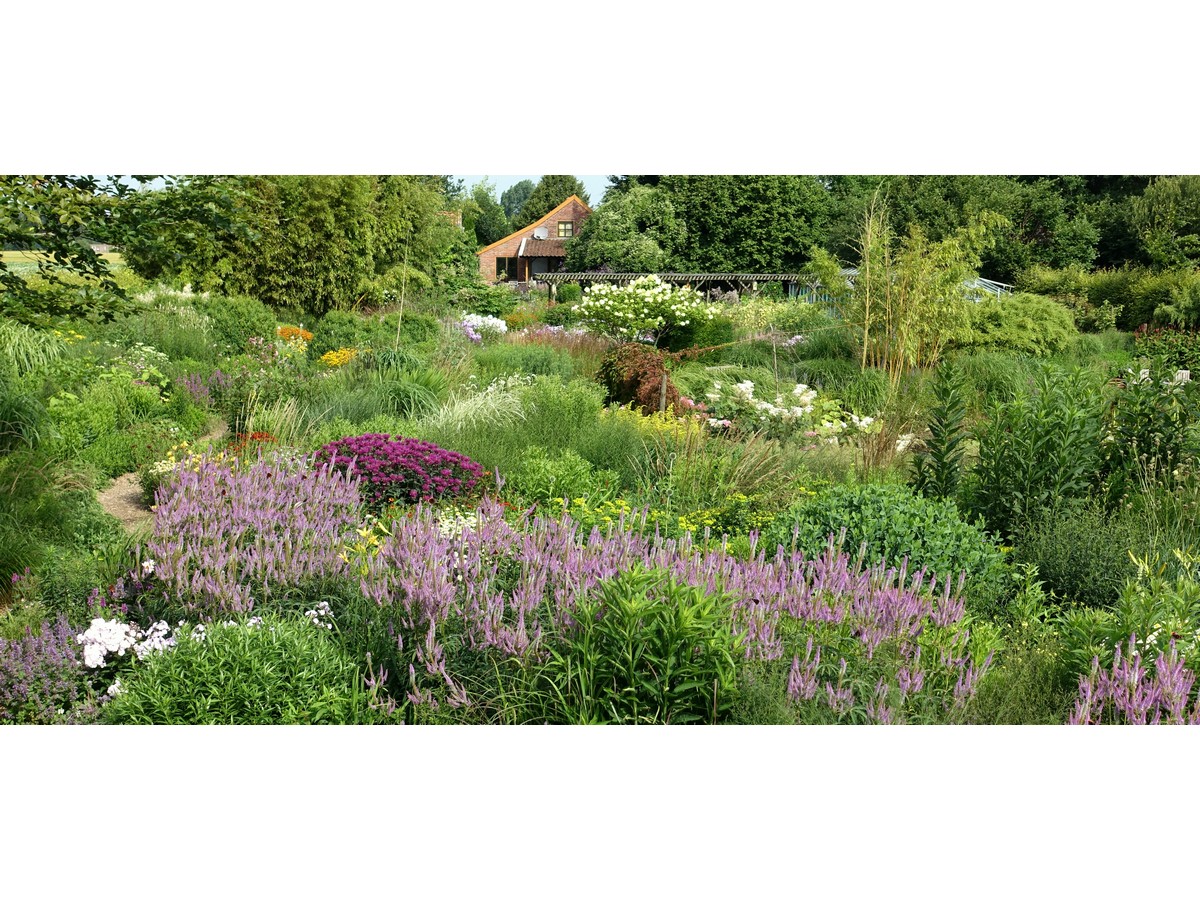 Kwekerij Jacobs - Het Tuinpad Op / In Nachbars Garten