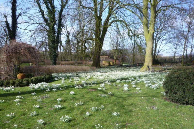 Bauerngarten Saathoff - Het Tuinpad Op / In Nachbars Garten