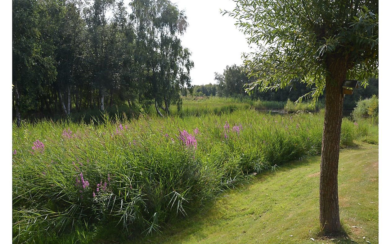 Tuin van Helen Buwalda - Het Tuinpad Op / In Nachbars Garten