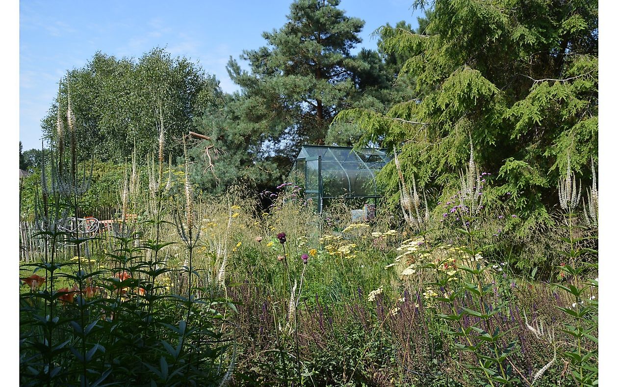 Tuin van Helen Buwalda - Het Tuinpad Op / In Nachbars Garten