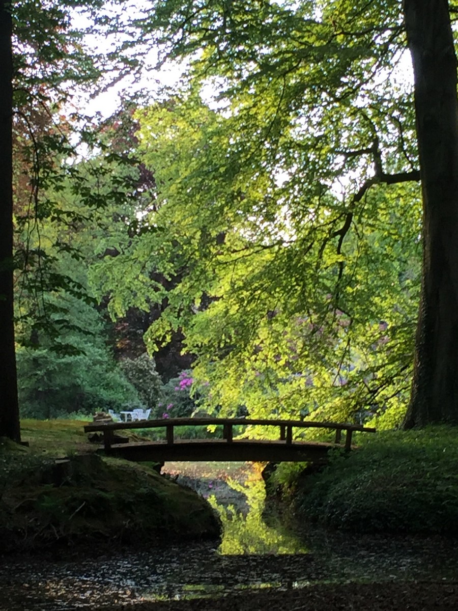Landschapspark Von Witzleben - Het Tuinpad Op / In Nachbars Garten