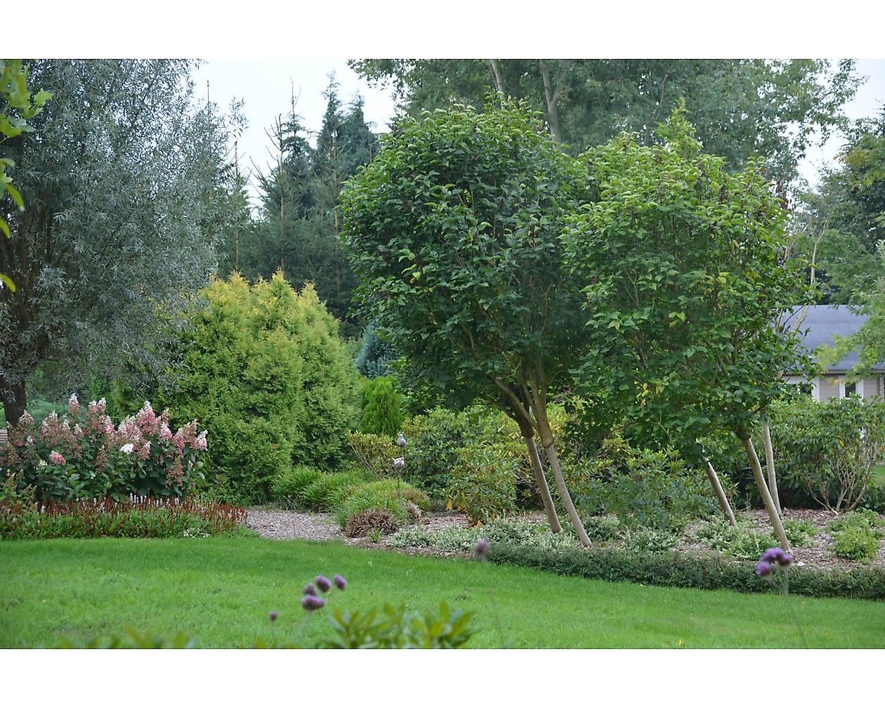 De Vier Handen - Het Tuinpad Op / In Nachbars Garten