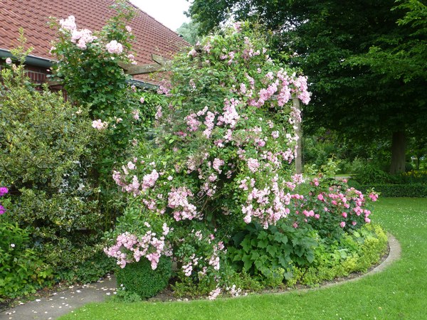  - Het Tuinpad Op / In Nachbars Garten