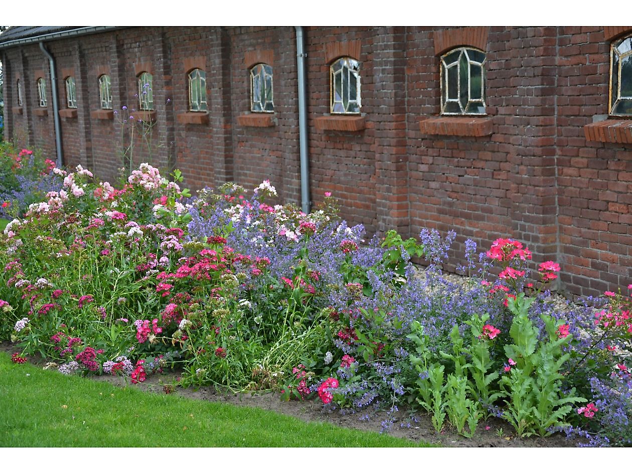 De Eendepoel - Het Tuinpad Op / In Nachbars Garten