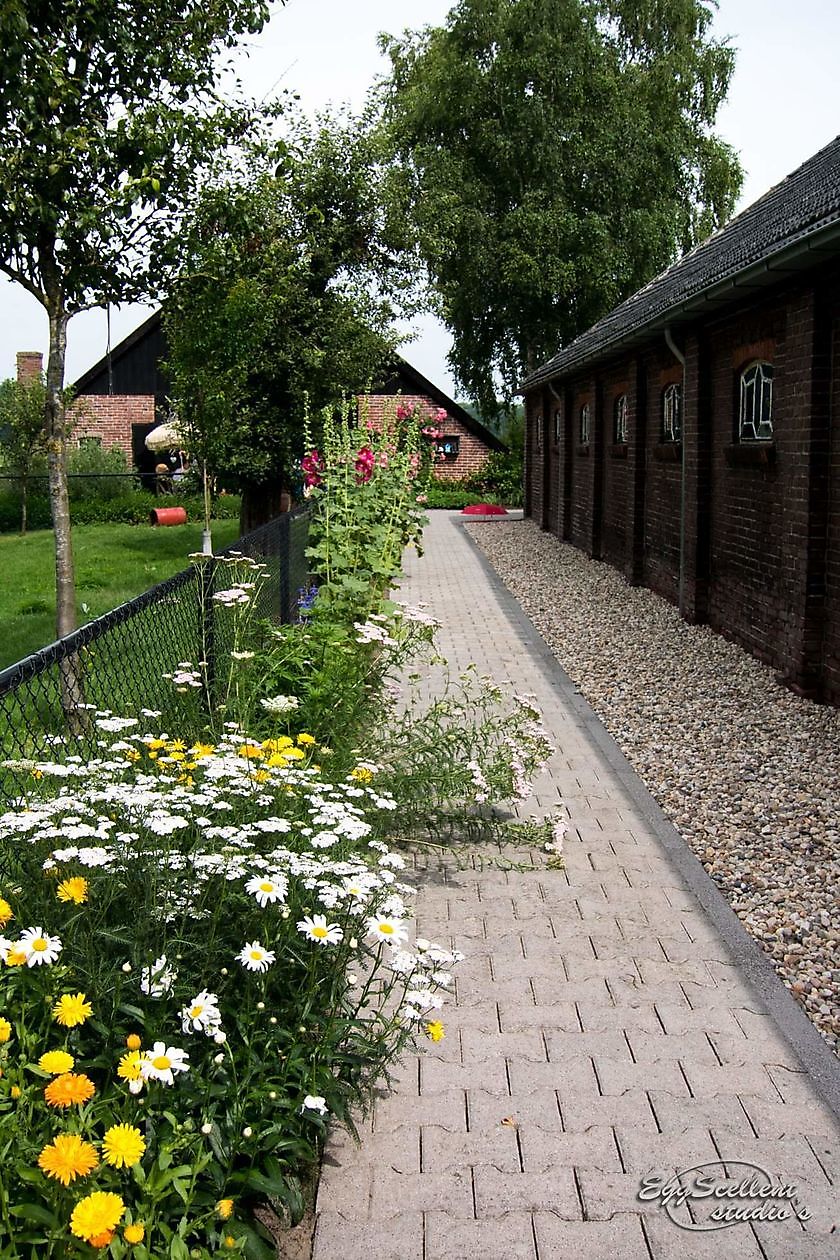 De Eendepoel - Het Tuinpad Op / In Nachbars Garten