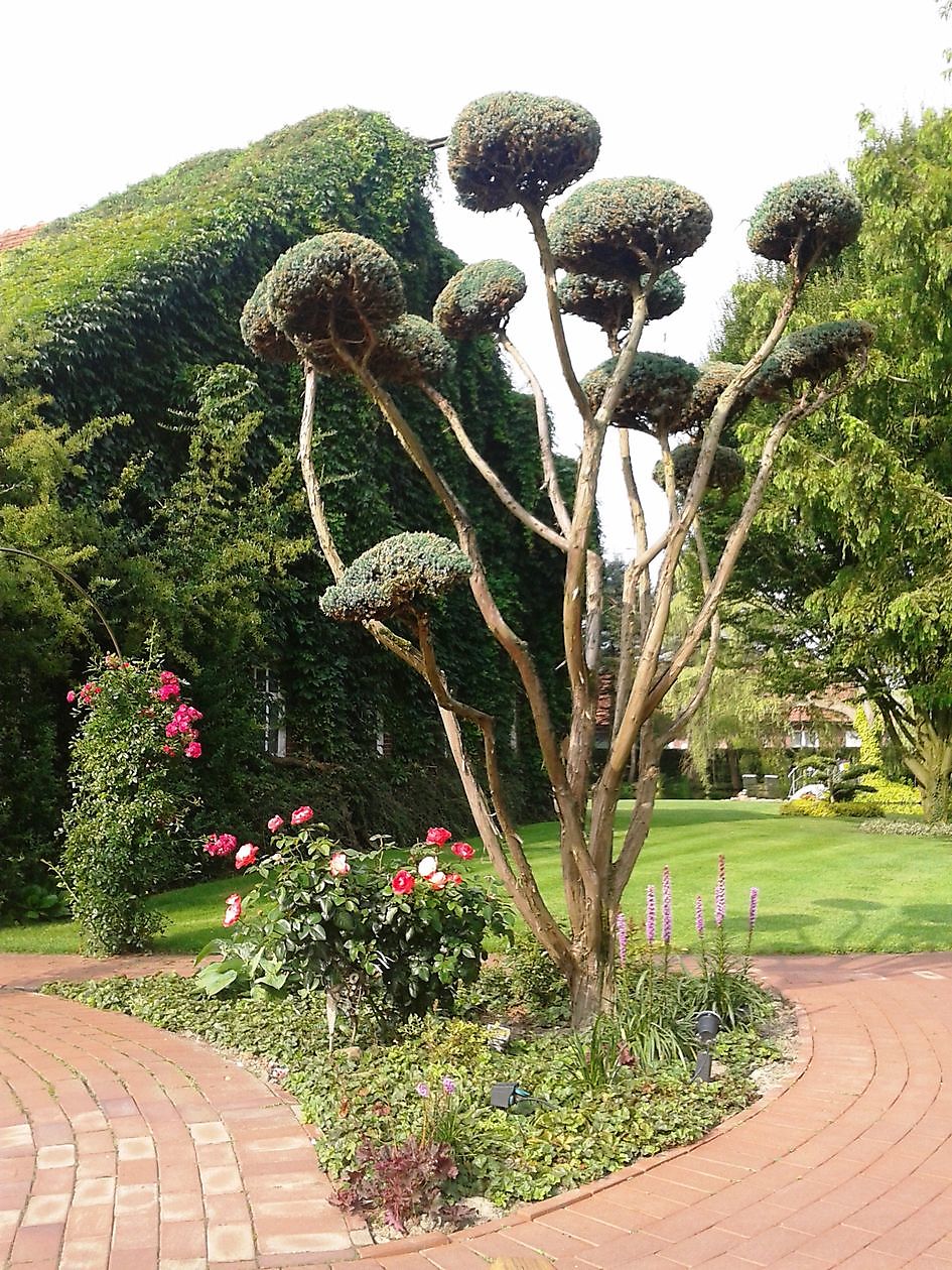 Tuin van Johannes & Anne Rolfes - Het Tuinpad Op / In Nachbars Garten