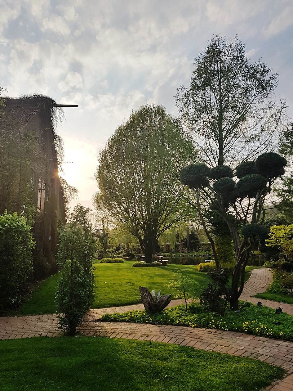 Tuin van Johannes & Anne Rolfes - Het Tuinpad Op / In Nachbars Garten