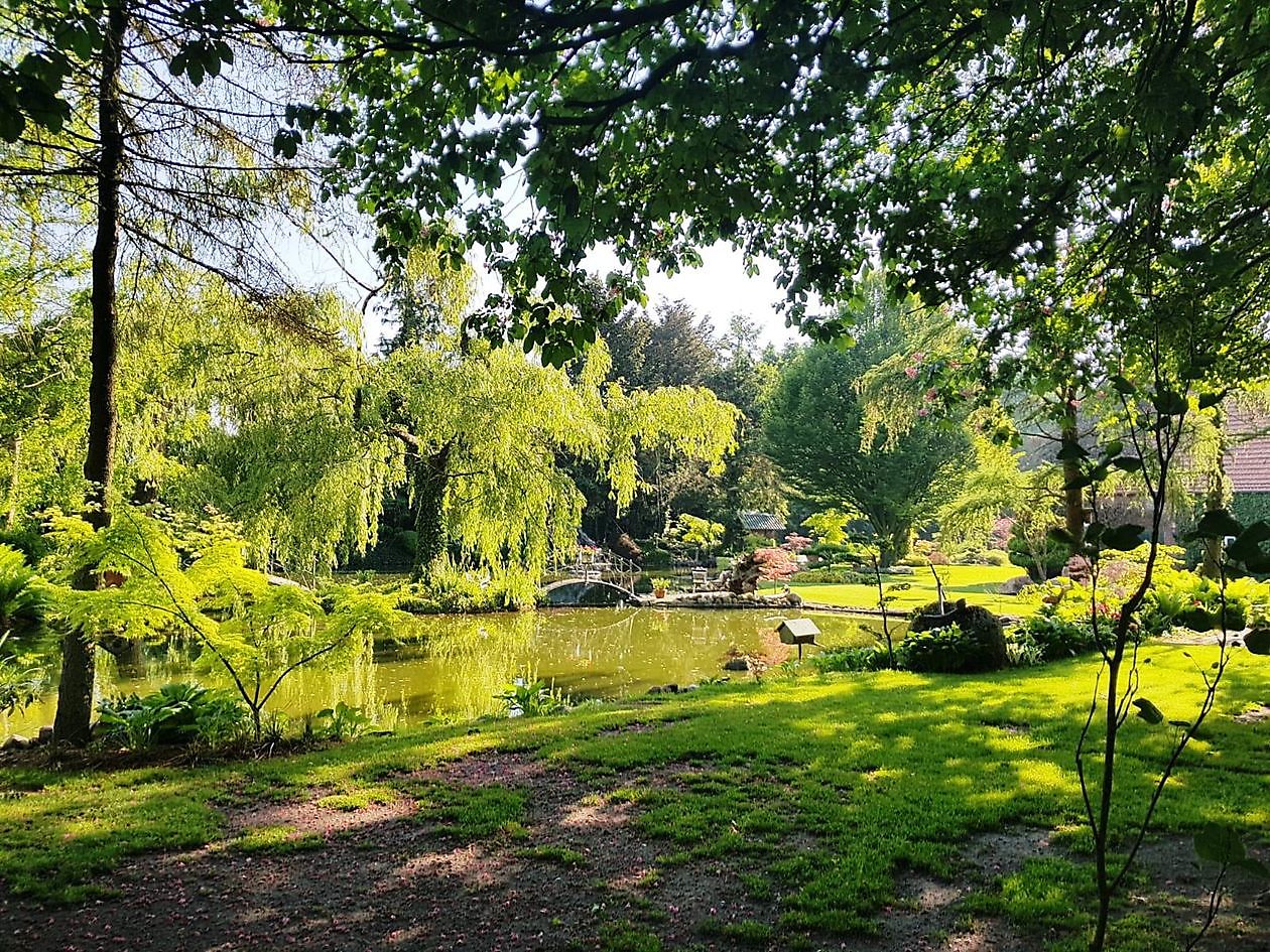 Tuin van Johannes & Anne Rolfes - Het Tuinpad Op / In Nachbars Garten