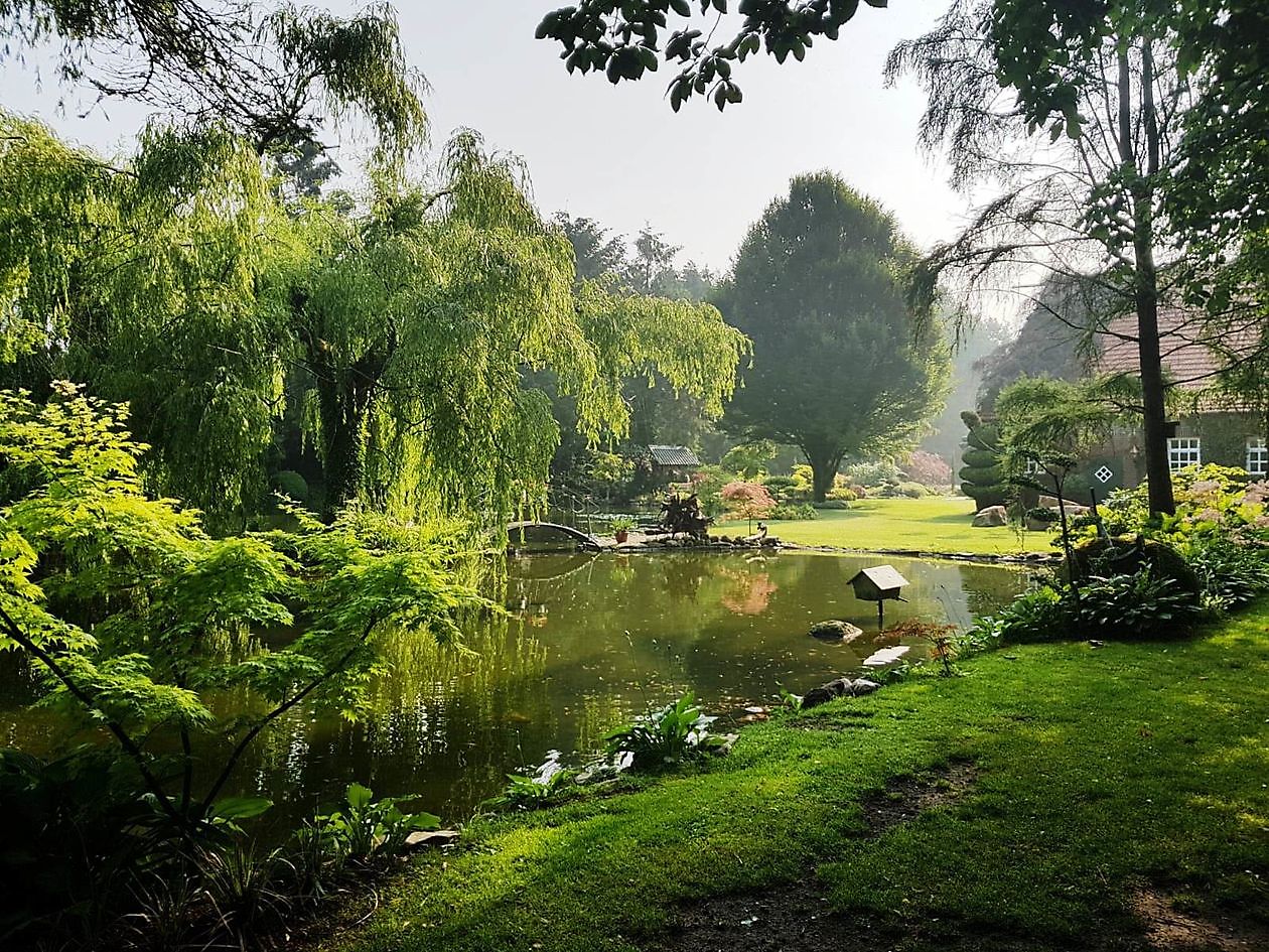 Tuin van Johannes & Anne Rolfes - Het Tuinpad Op / In Nachbars Garten