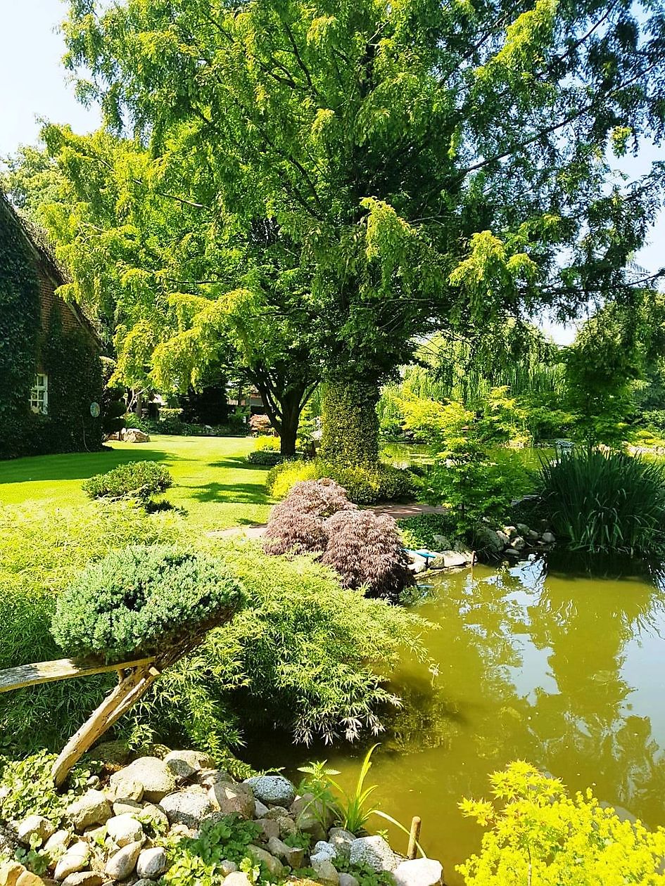 Tuin van Johannes & Anne Rolfes - Het Tuinpad Op / In Nachbars Garten