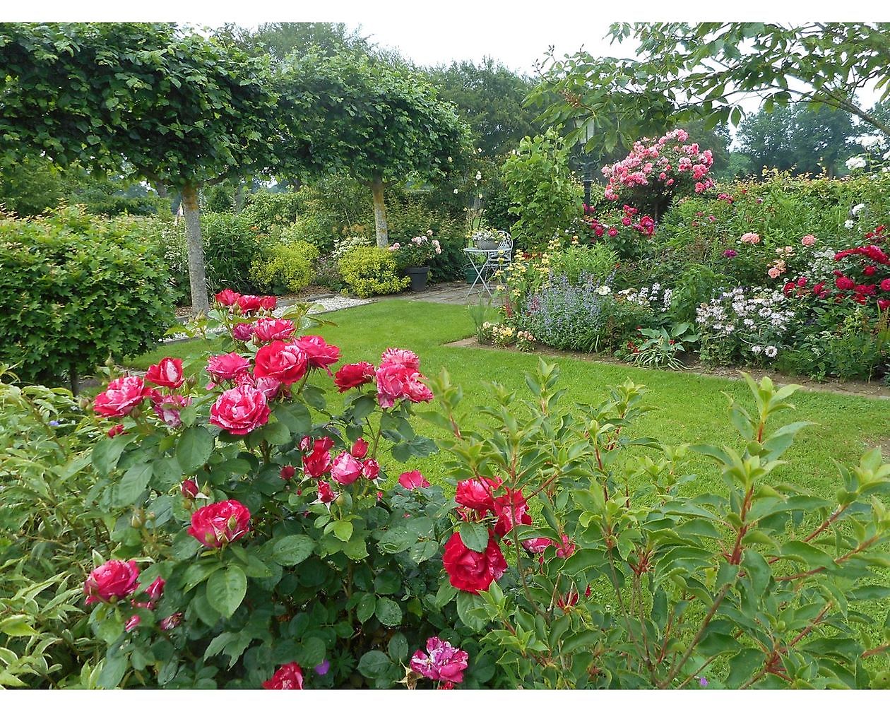 Bloemakkershof - Het Tuinpad Op / In Nachbars Garten