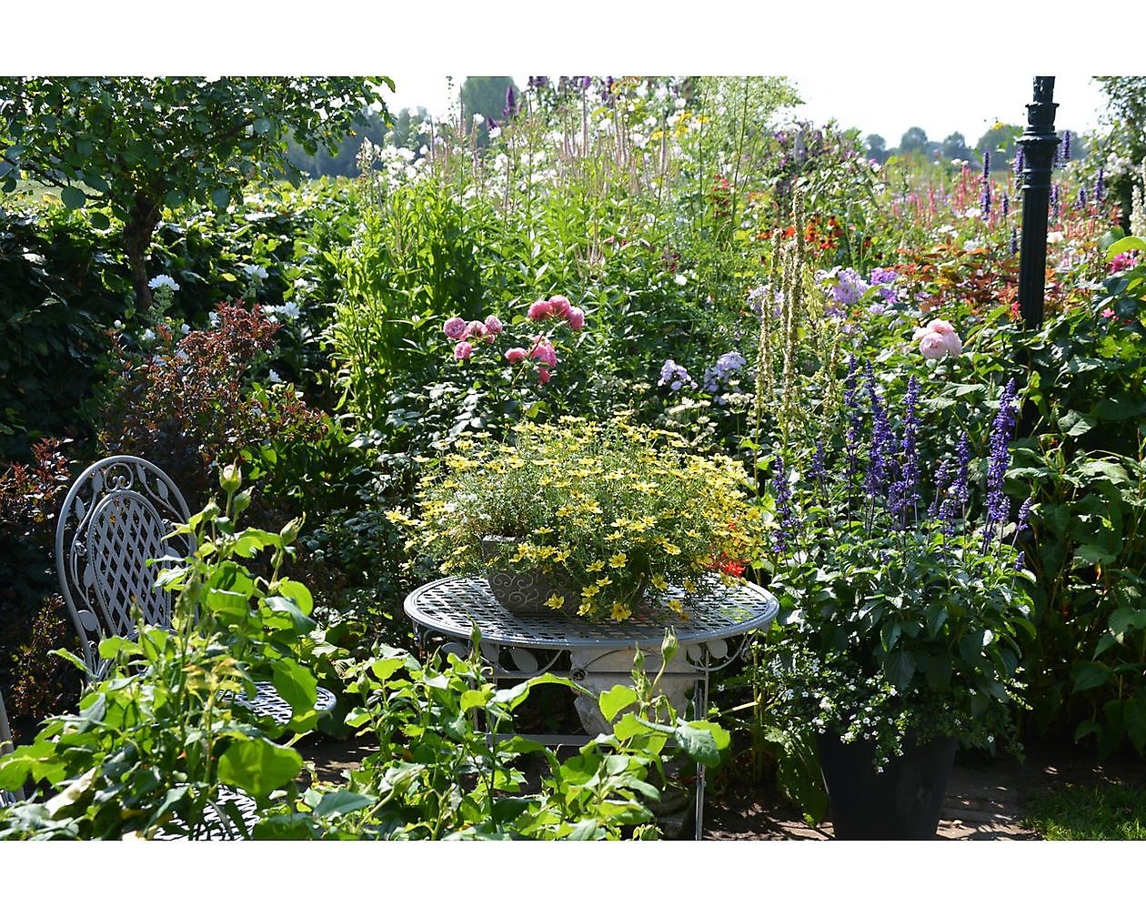 Bloemakkershof - Het Tuinpad Op / In Nachbars Garten