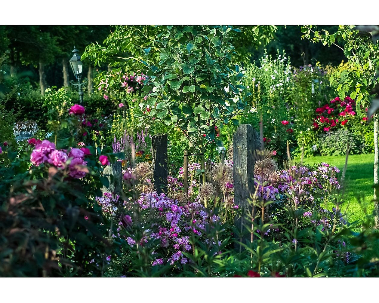 Bloemakkershof - Het Tuinpad Op / In Nachbars Garten