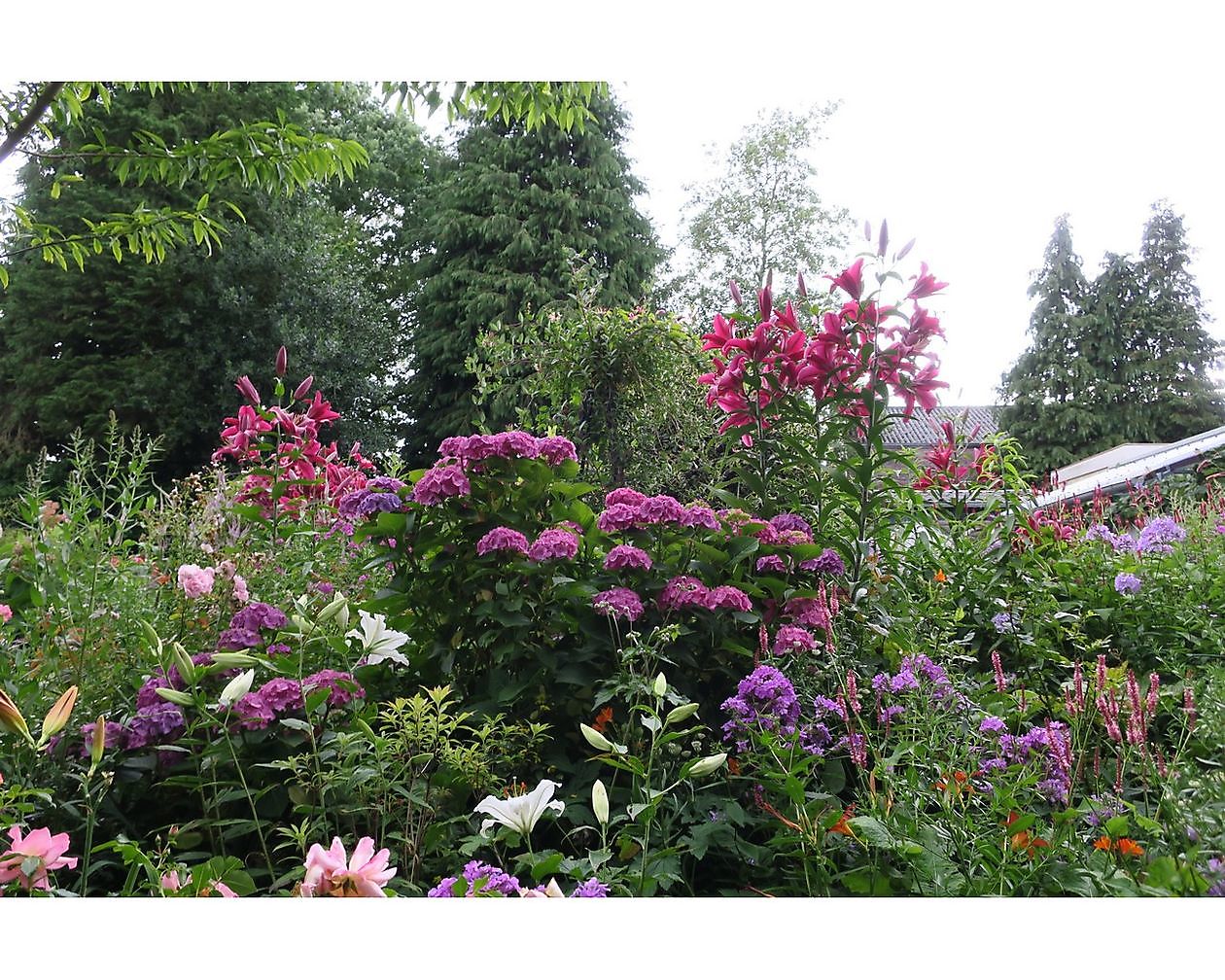 De Groene Weelde - Het Tuinpad Op / In Nachbars Garten