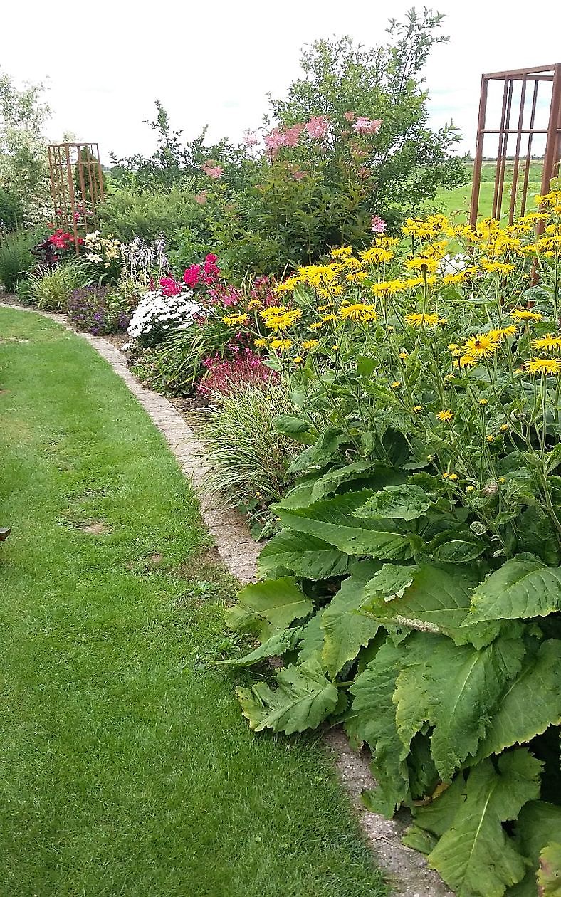  - Het Tuinpad Op / In Nachbars Garten