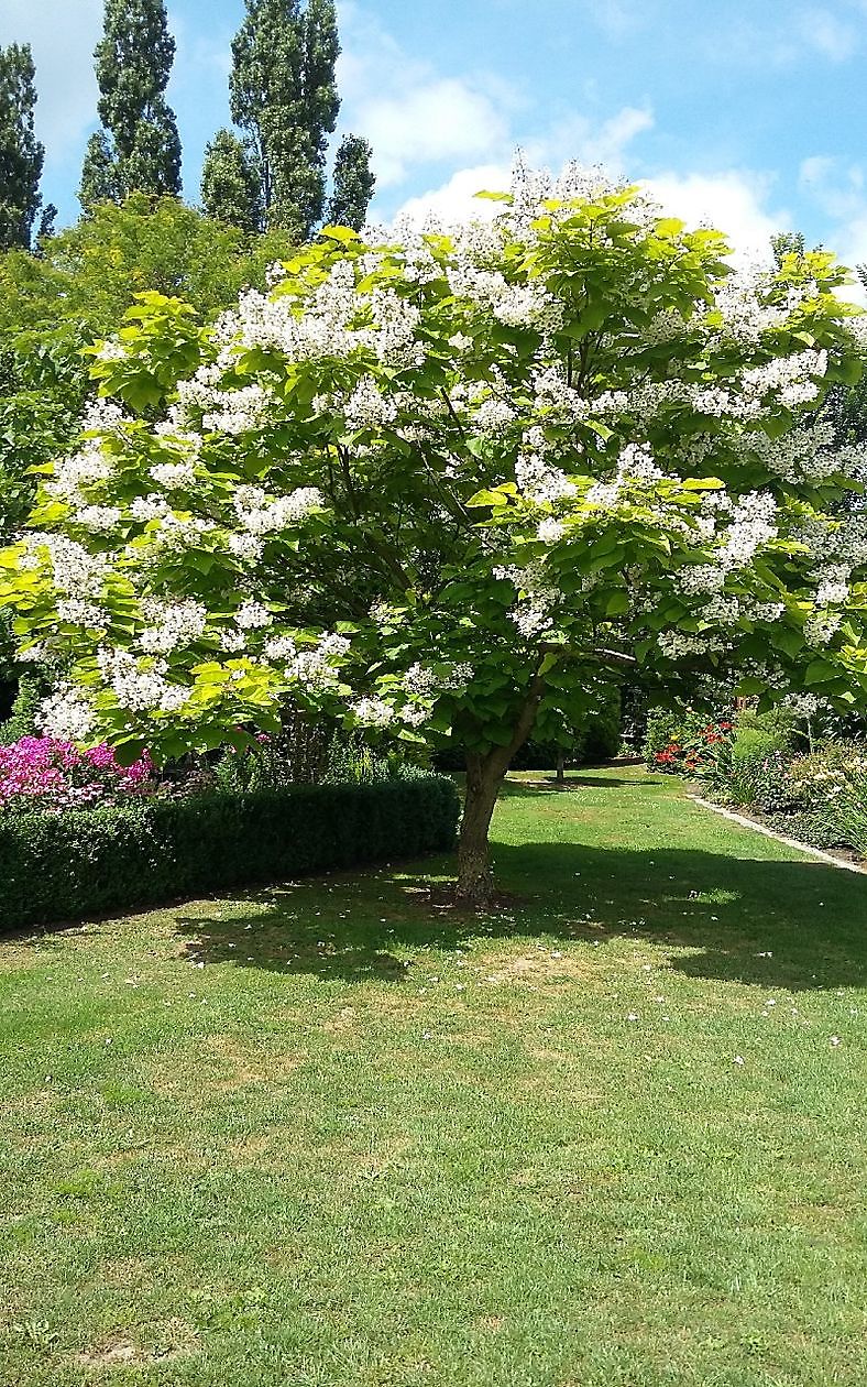  - Het Tuinpad Op / In Nachbars Garten