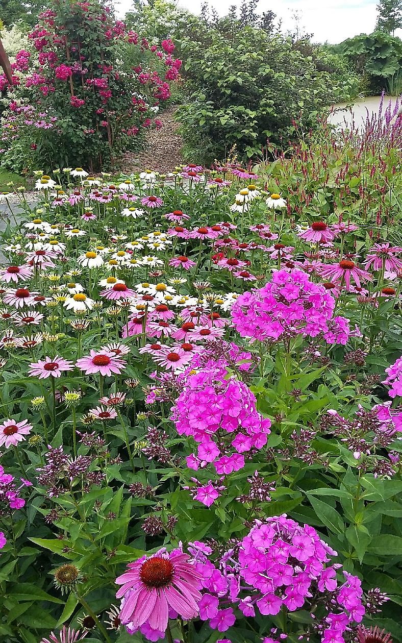  - Het Tuinpad Op / In Nachbars Garten