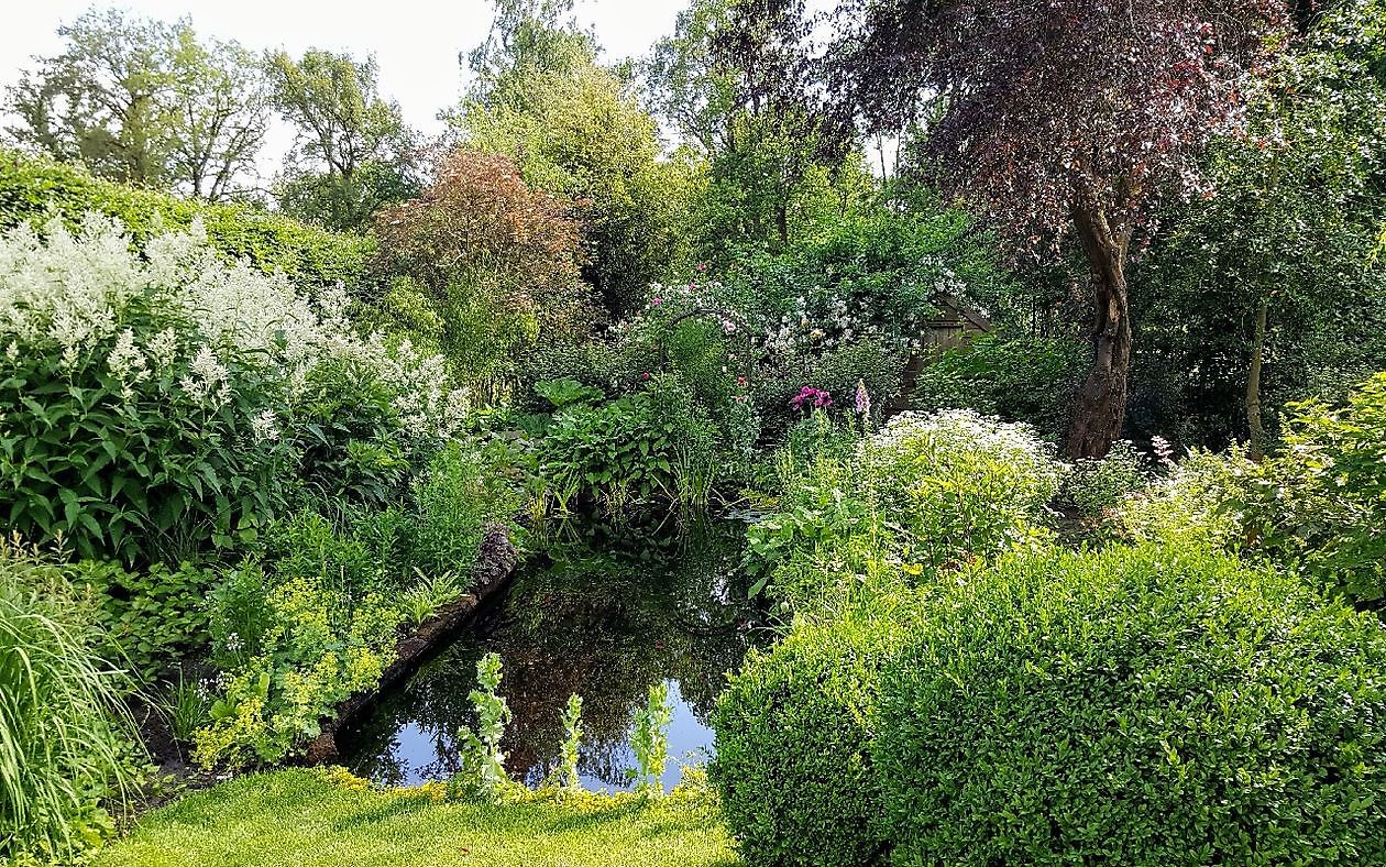 De Tuin van Anneke van Apeldoorn - Het Tuinpad Op / In Nachbars Garten