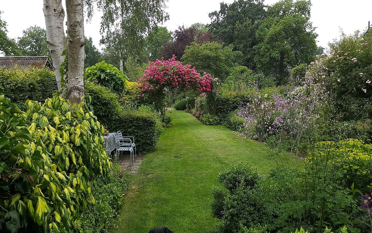 De Tuin van Anneke van Apeldoorn - Het Tuinpad Op / In Nachbars Garten