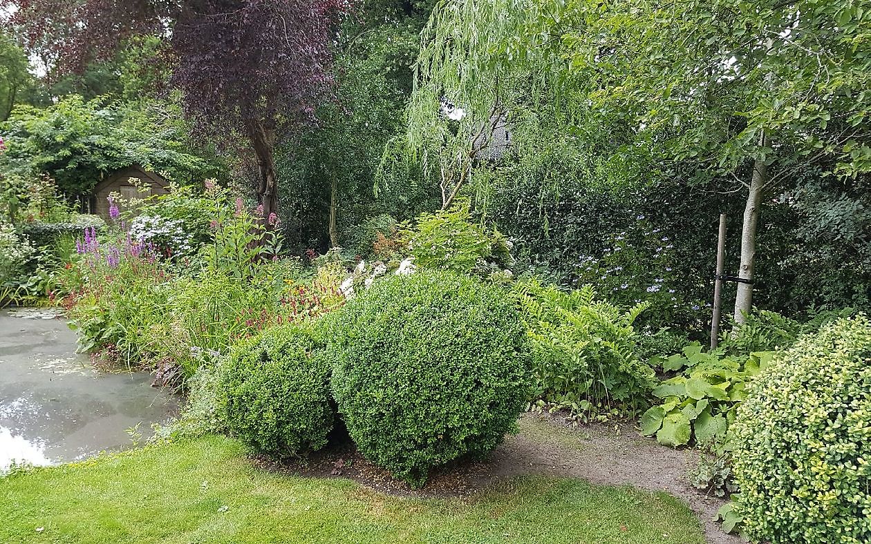 De Tuin van Anneke van Apeldoorn - Het Tuinpad Op / In Nachbars Garten