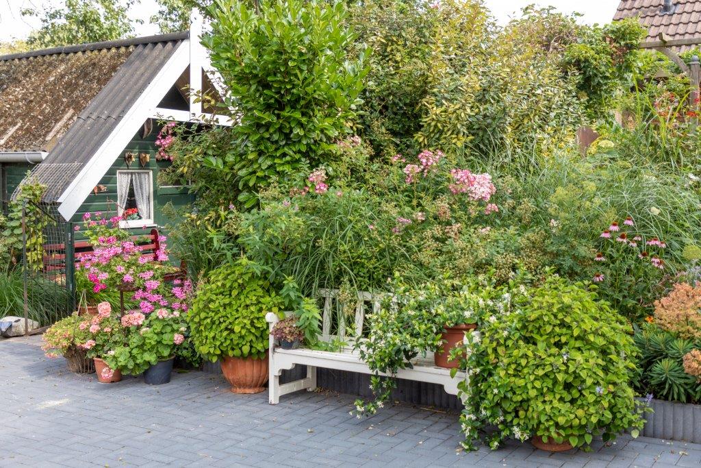 Jetske’s Tuin - Het Tuinpad Op / In Nachbars Garten