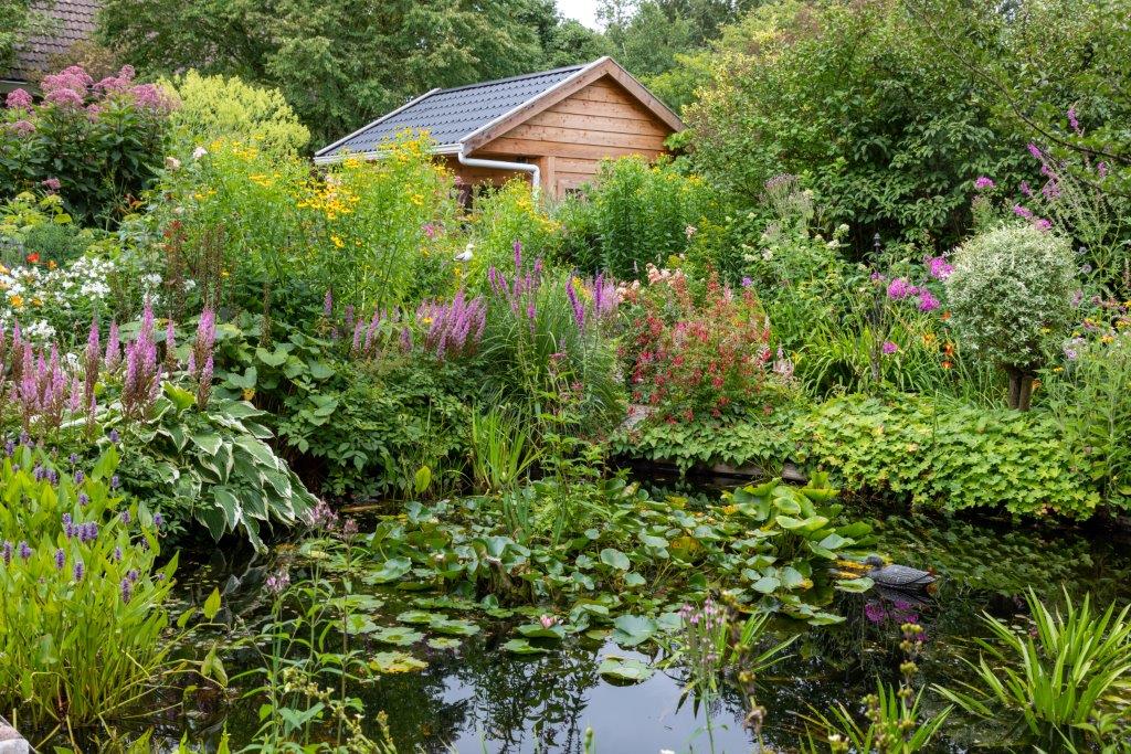 Jetske’s Tuin - Het Tuinpad Op / In Nachbars Garten