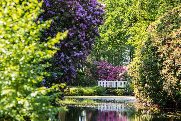 Lütetsburger Schlosspark - Het Tuinpad Op / In Nachbars Garten