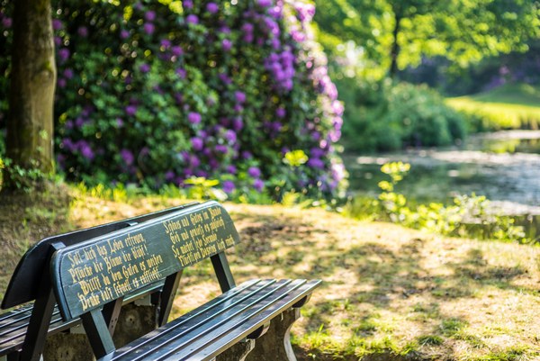 Lütetsburger Schlosspark - Het Tuinpad Op / In Nachbars Garten