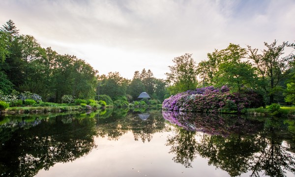 Lütetsburger Schlosspark - Het Tuinpad Op / In Nachbars Garten