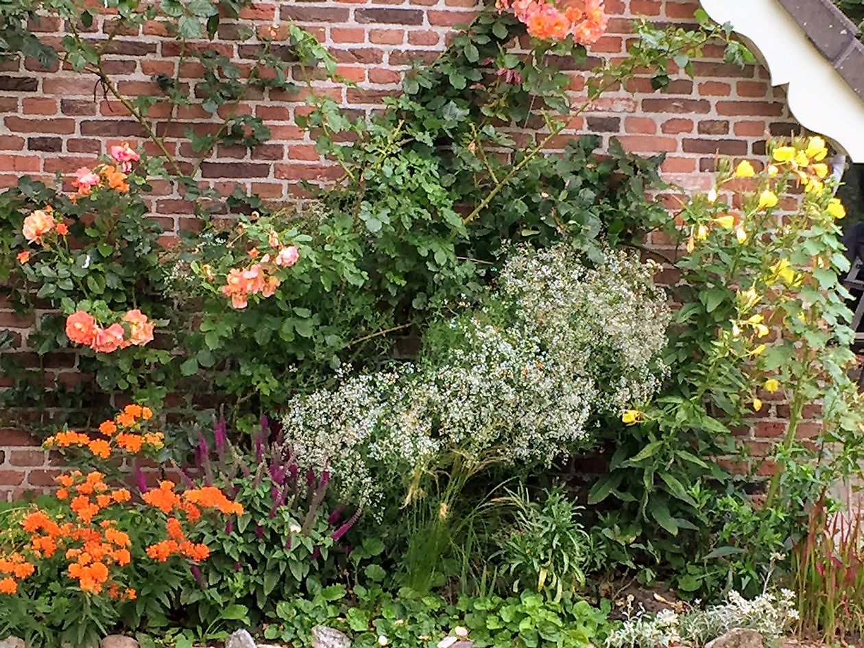 De Rode Melde - Het Tuinpad Op / In Nachbars Garten