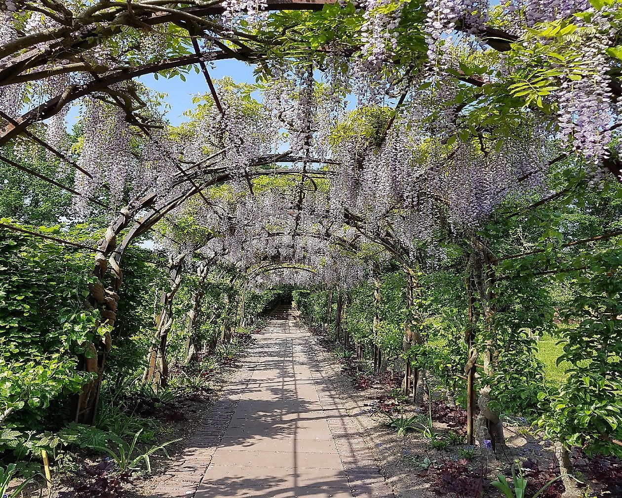 Museum De Buitenplaats - Het Tuinpad Op / In Nachbars Garten