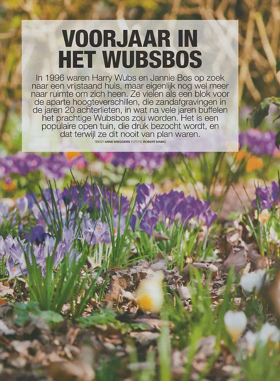 Wubsbos - Het Tuinpad Op / In Nachbars Garten